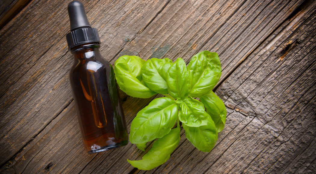 Basil Essential Oil uses and health Benefits Jain Super Store