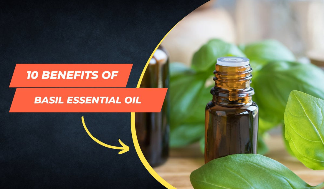 10 Benefits of Basil Essential Oil - Jain Super Store