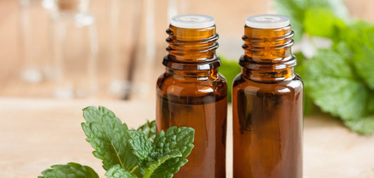 5 Ways To Boost Hair Growth Using Peppermint Hair Oil - Jain Super Store