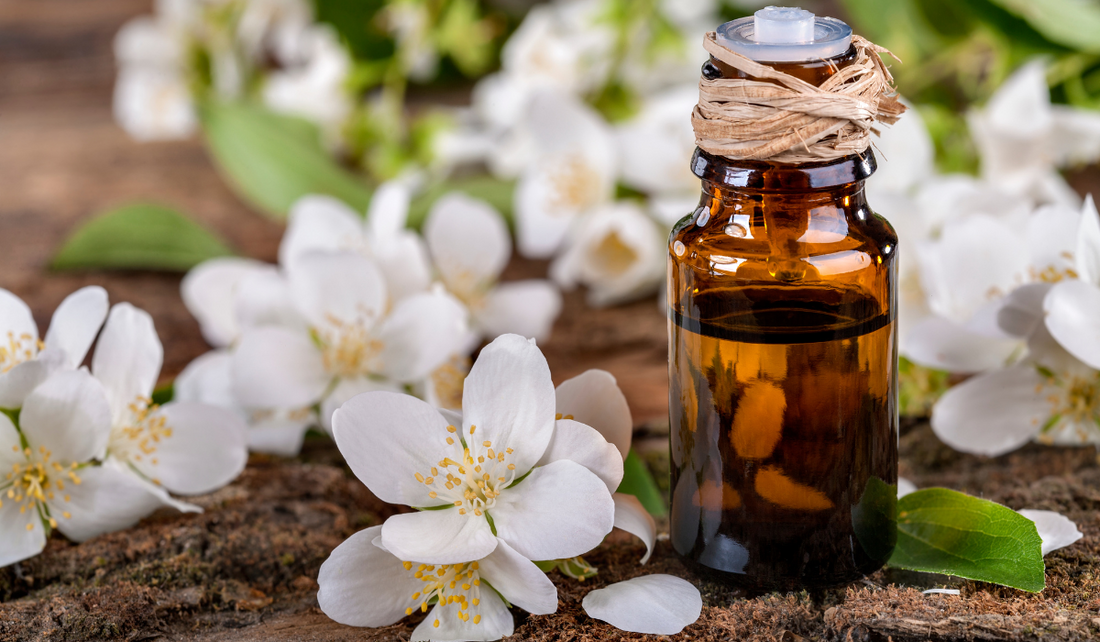 Jasmine Essential Oil: The Floral Elixir for Beauty and Wellness