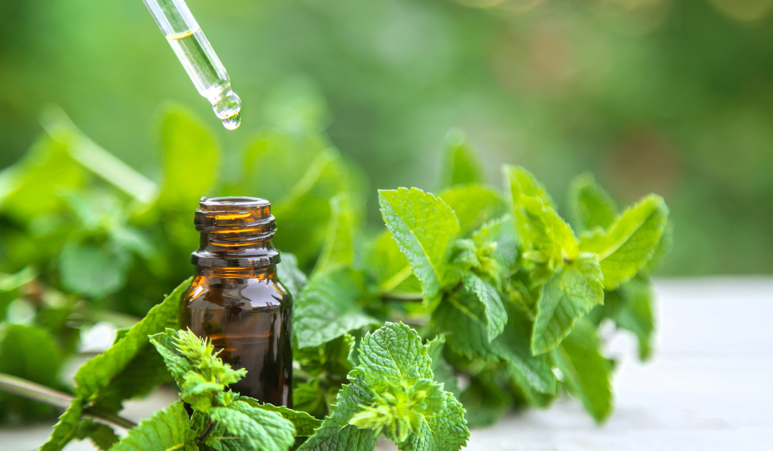 Peppermint Essential Oil: A Refreshing Boost for Body and Mind