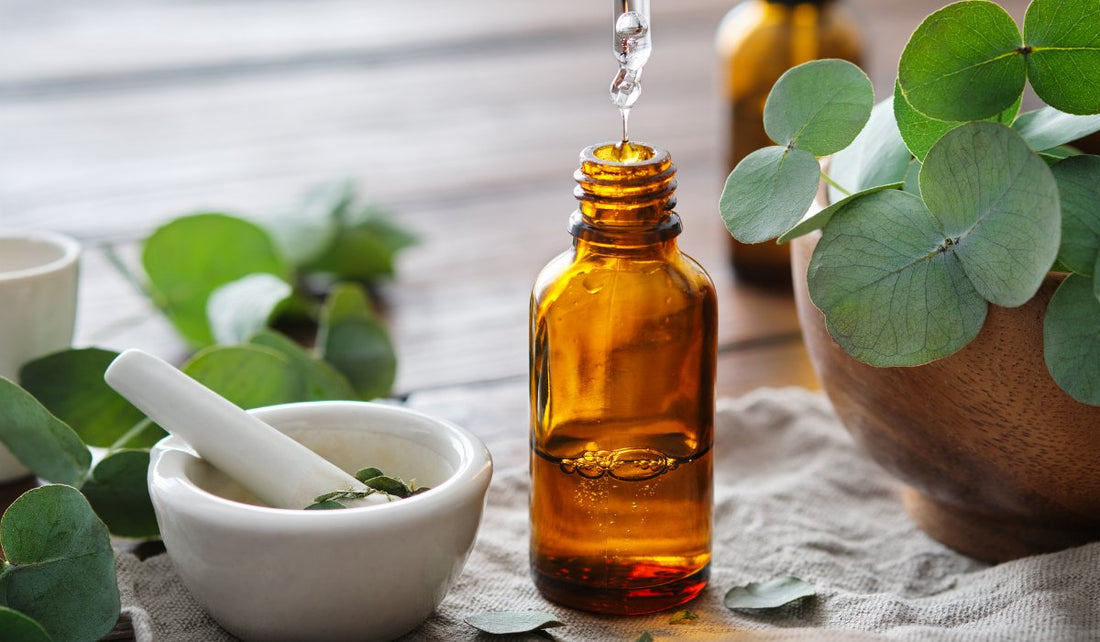 Eucalyptus Essential Oil: Harnessing Nature’s Respiratory Remedy - Jain Super Store