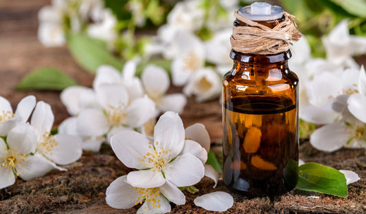 Jasmine Essential Oil: The Floral Elixir for Beauty and Wellness - Jain Super Store