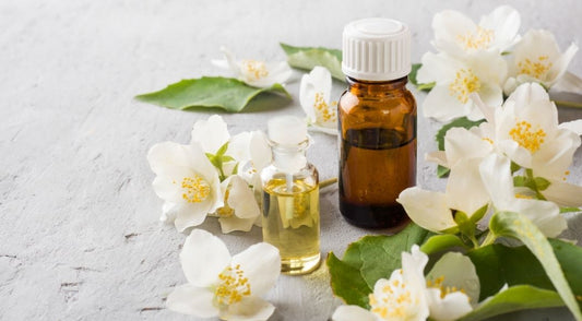 Jasmine Oil The King Of Essential Oil - Jain Super Store