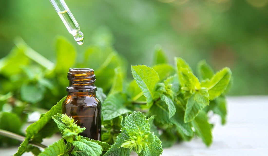 Peppermint Essential Oil: A Refreshing Boost for Body and Mind - Jain Super Store