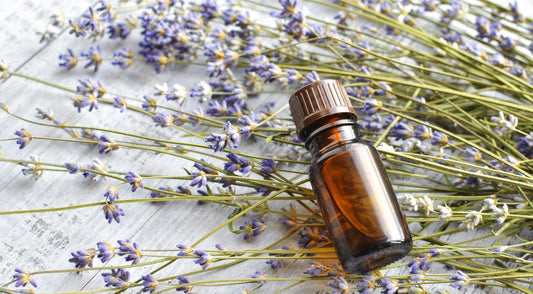 Top 11 essential oils and there Health Benefits - Jain Super Store