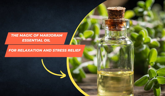 Unwind and Rejuvenate: The Magic of Marjoram Essential Oil for Relaxation and Stress Relief - Jain Super Store