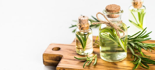 What is Rosemary Oil? - Jain Super Store